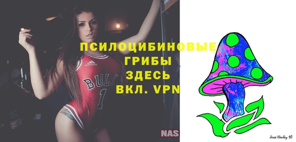 кокс Алексин