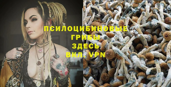 PSILOCYBIN Алексеевка