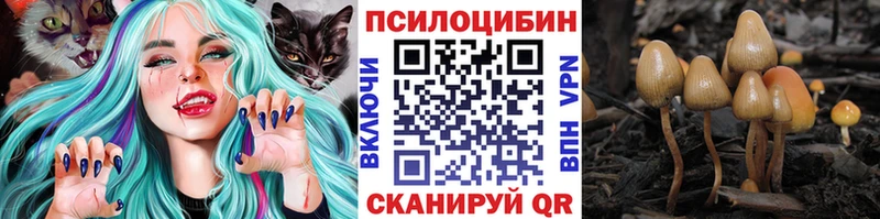даркнет сайт  Кольчугино  Псилоцибиновые грибы Psilocybine cubensis 